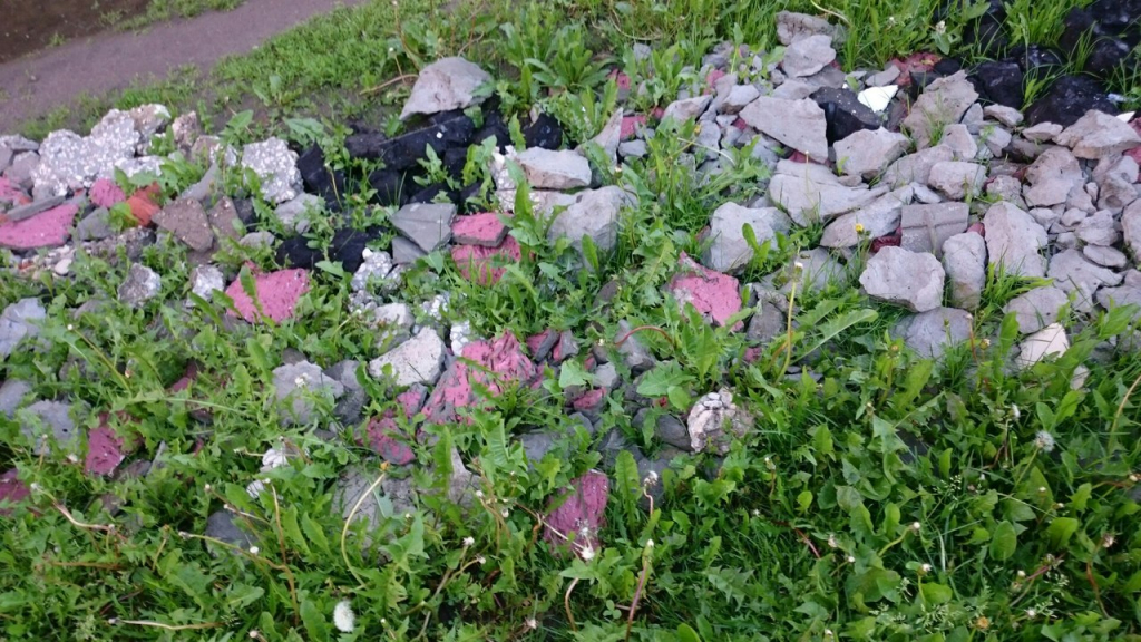 Изображение к жалобе