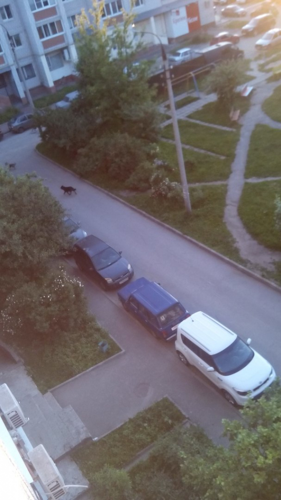 Изображение к жалобе