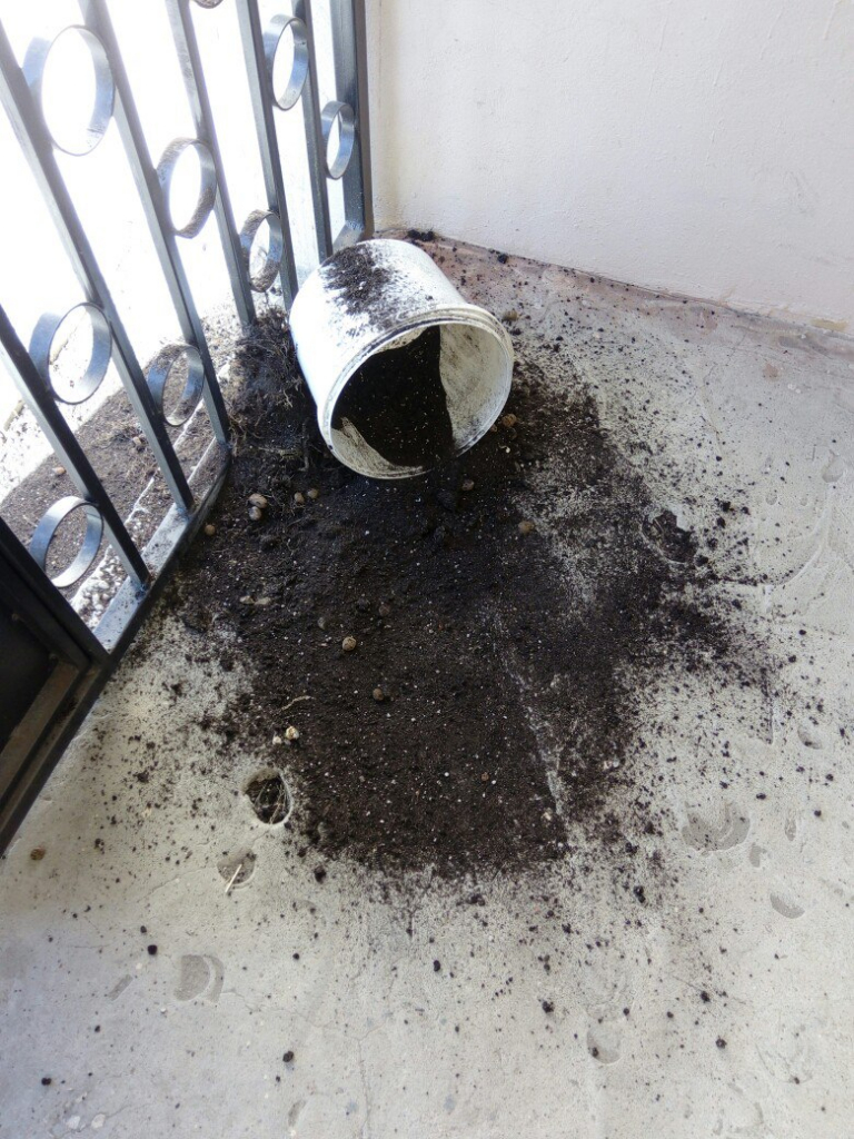 Изображение к жалобе