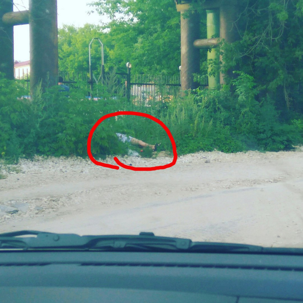 Изображение к жалобе