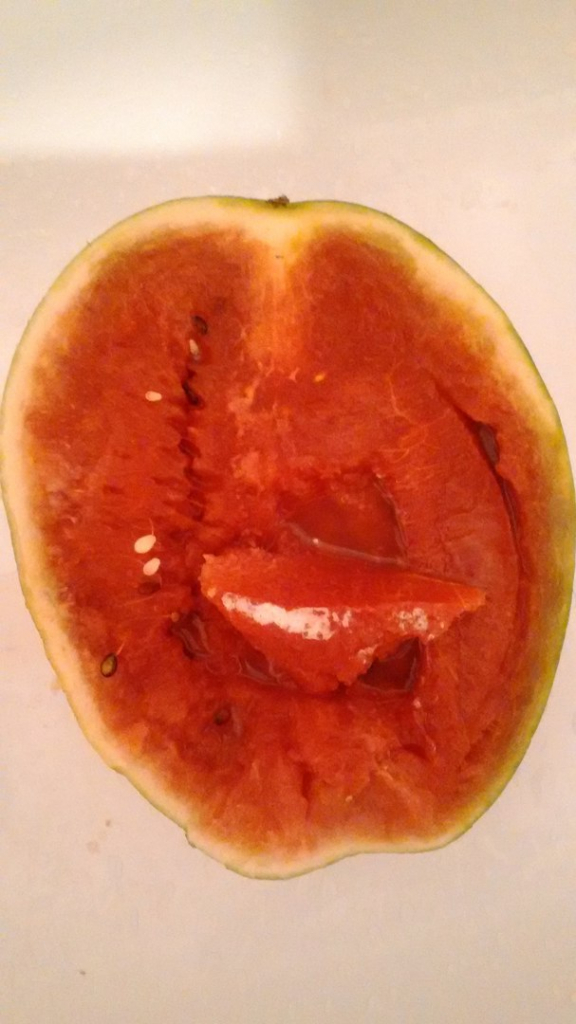 Изображение к жалобе