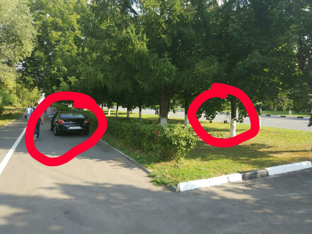 Изображение к жалобе