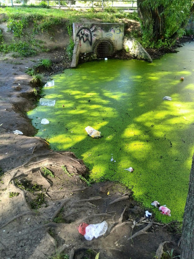 Изображение к жалобе