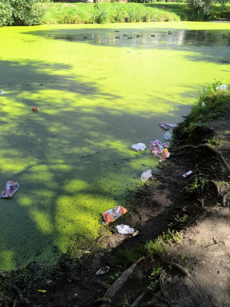 Изображение к жалобе