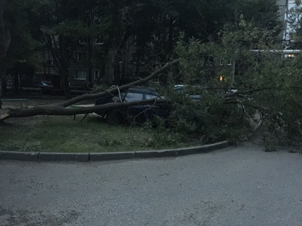 Изображение к жалобе