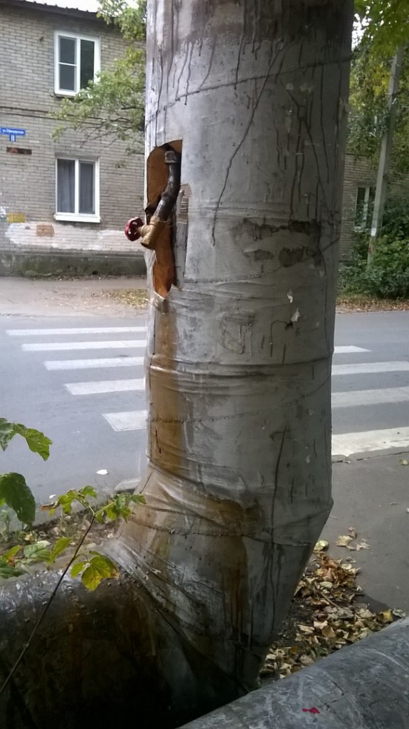 Изображение к жалобе