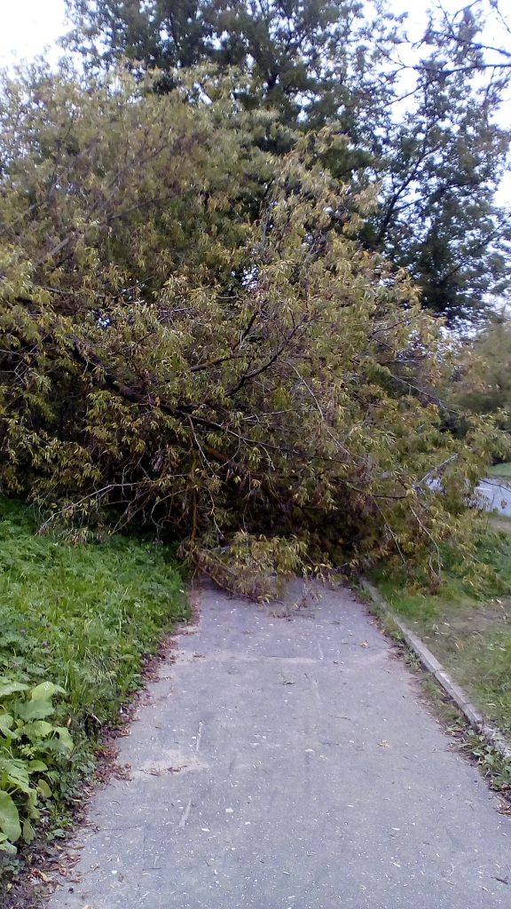 Изображение к жалобе