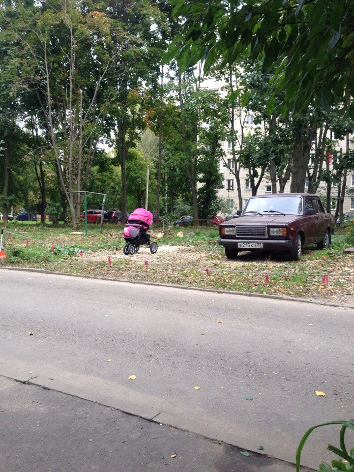 Изображение к жалобе