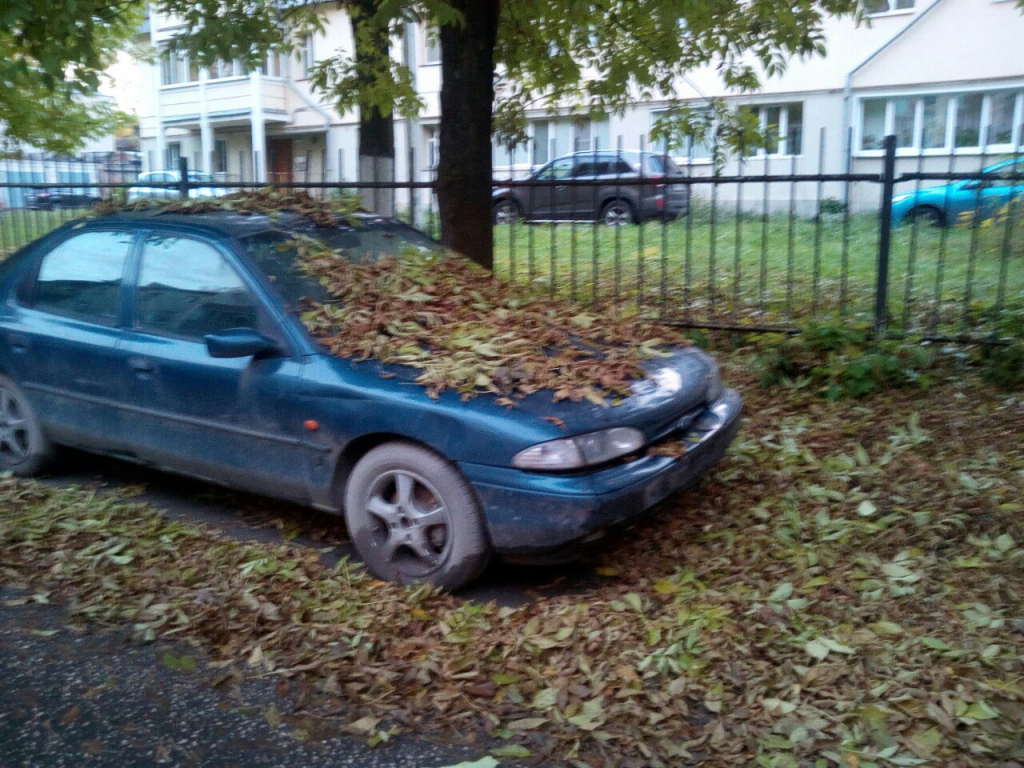 Изображение к жалобе