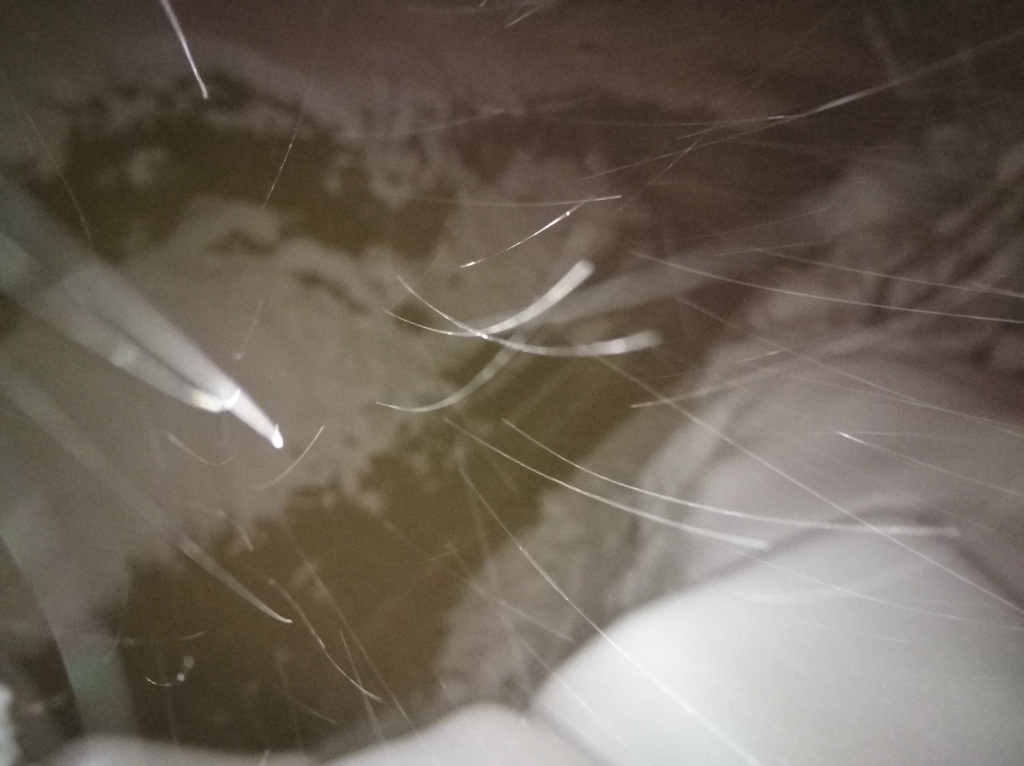 Изображение к жалобе