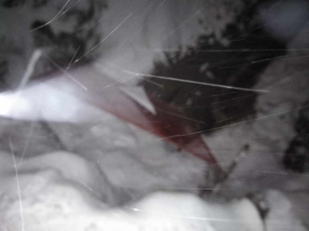 Изображение к жалобе