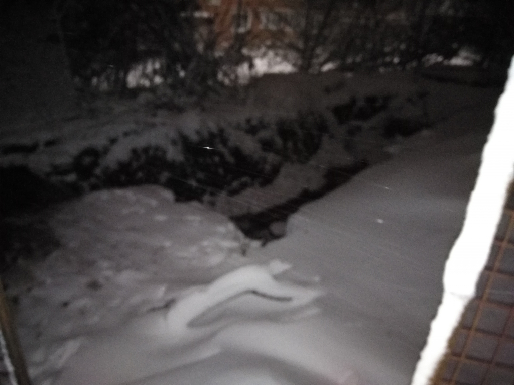 Изображение к жалобе