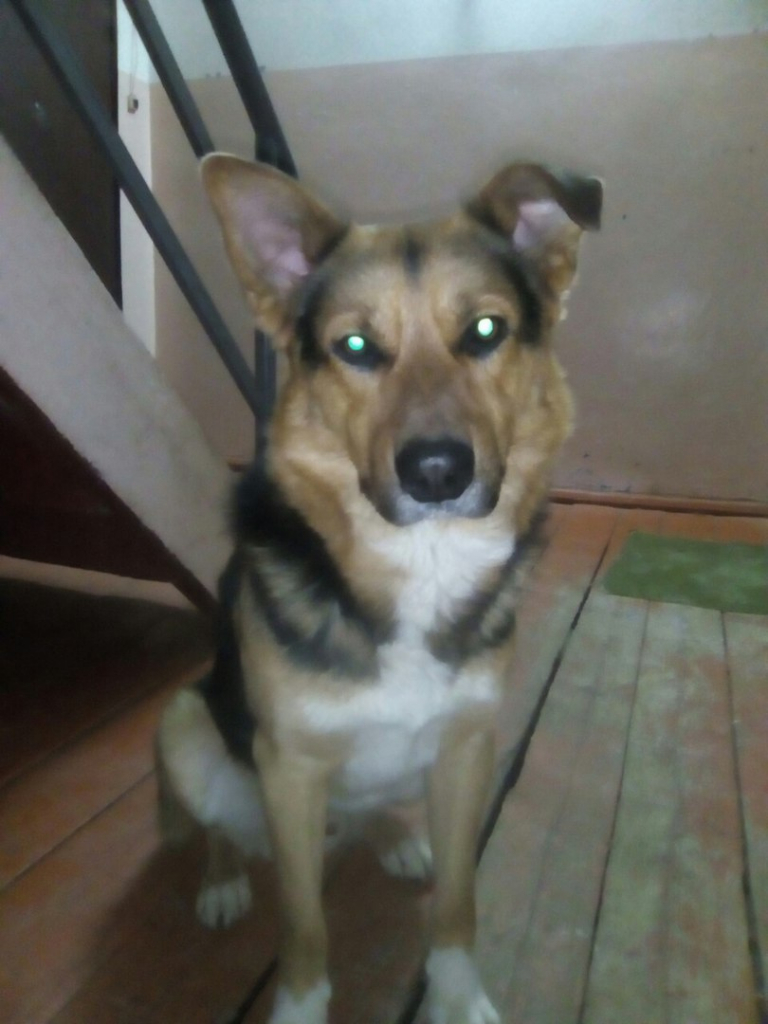 Изображение к жалобе