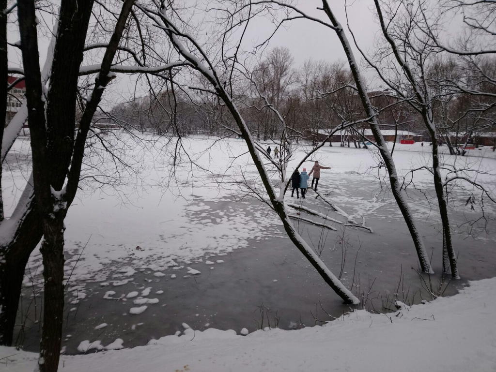 Изображение к жалобе