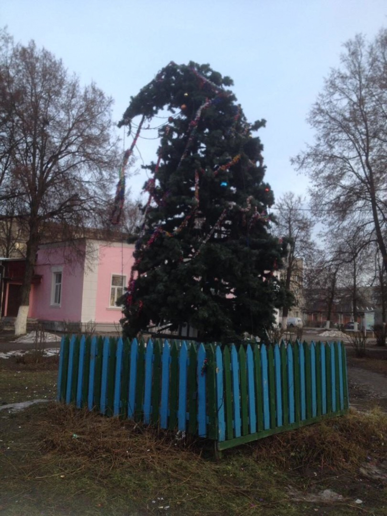 Изображение к жалобе