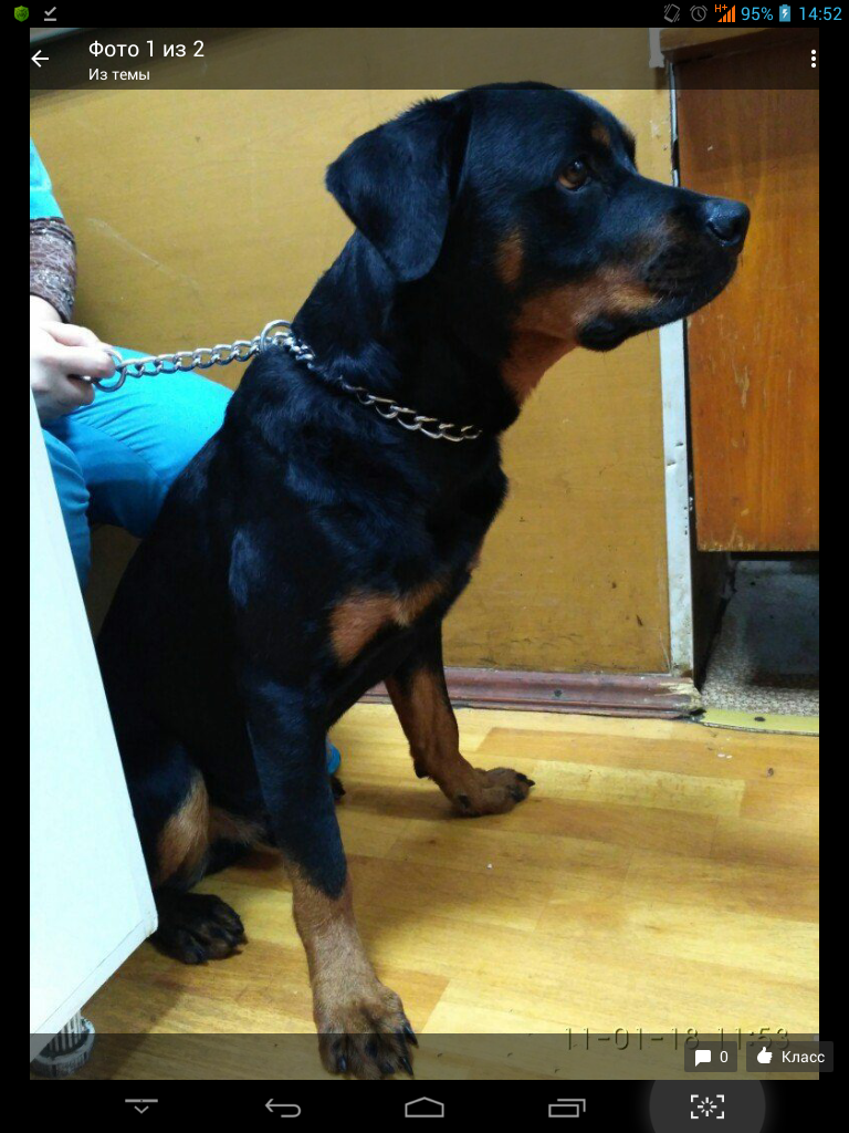 Изображение к жалобе