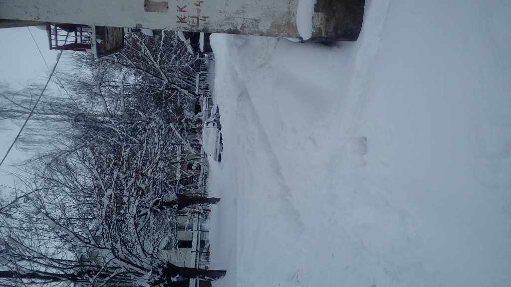 Изображение к жалобе