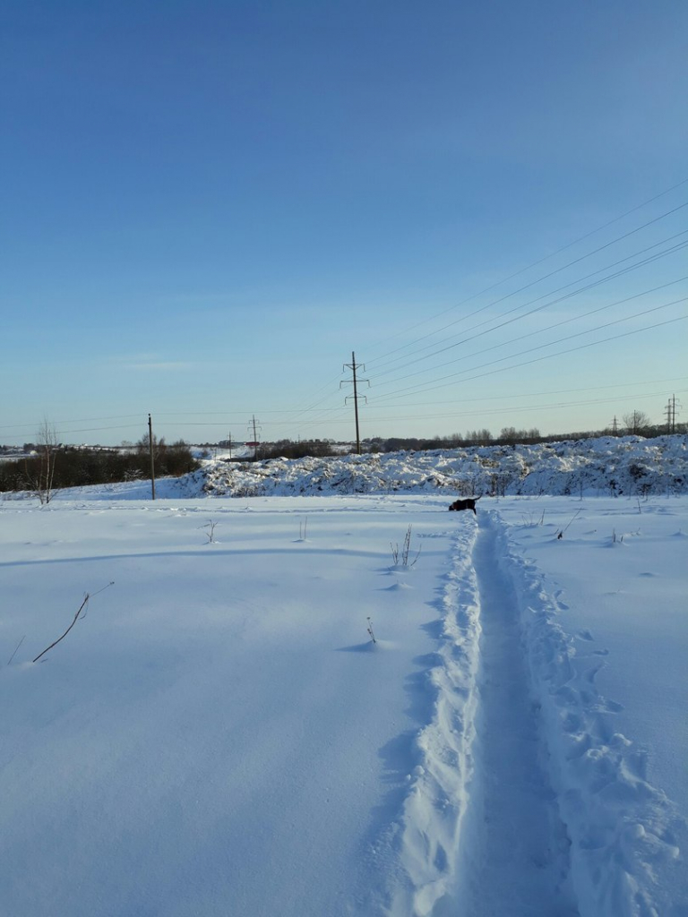 Изображение к жалобе