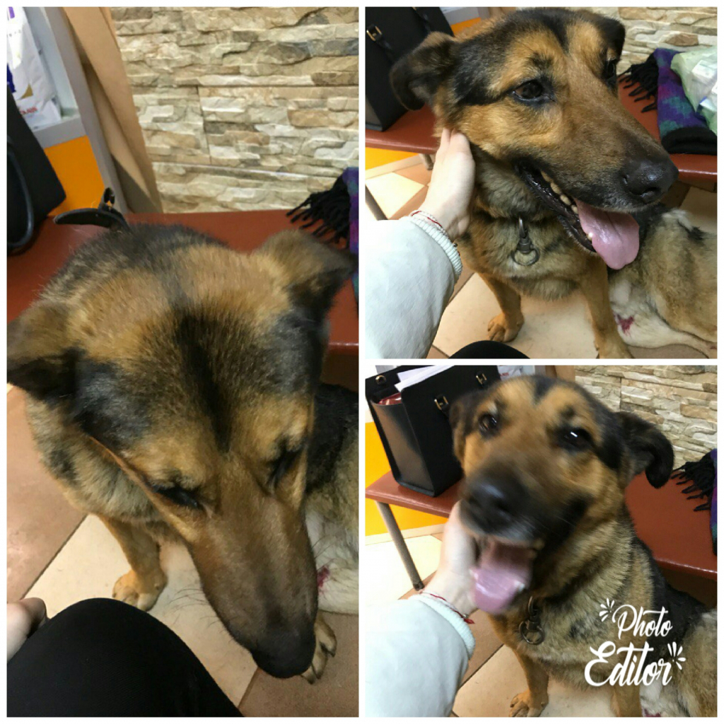 Изображение к жалобе