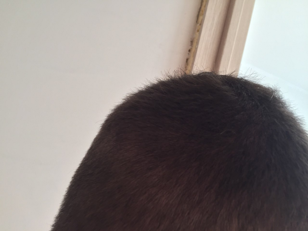 Изображение к жалобе