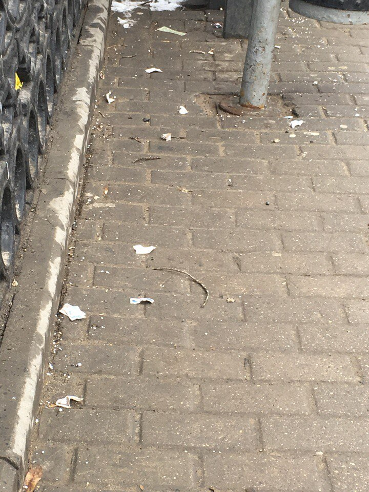 Изображение к жалобе