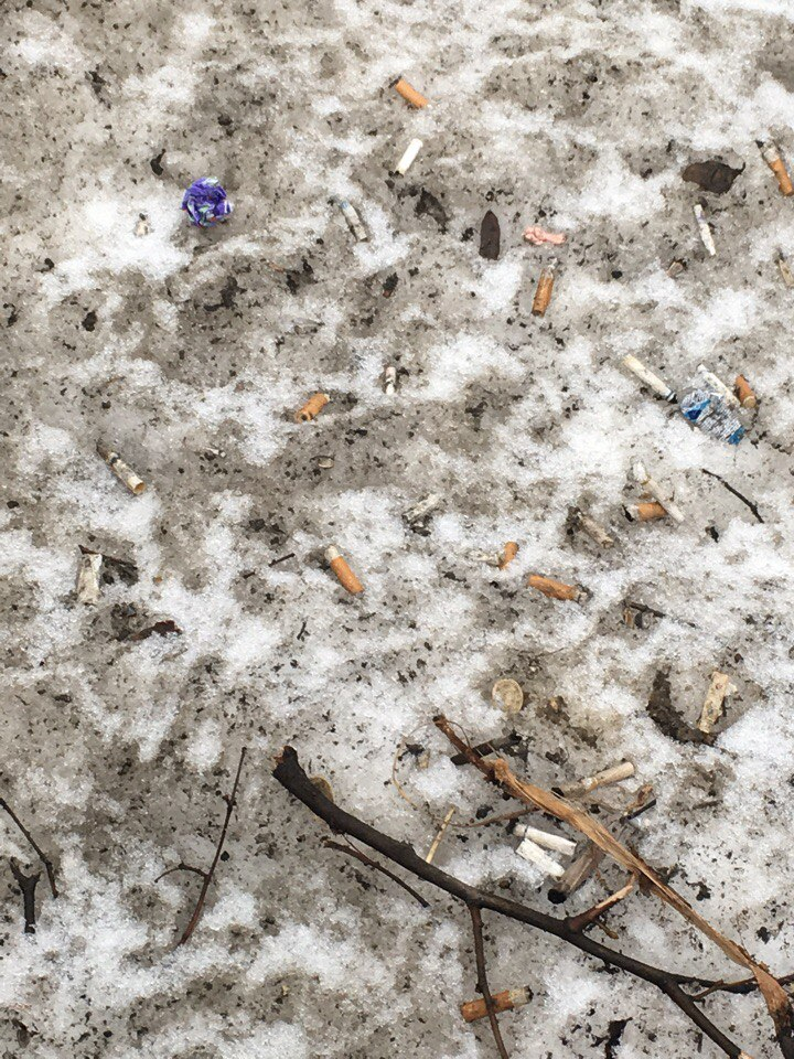 Изображение к жалобе