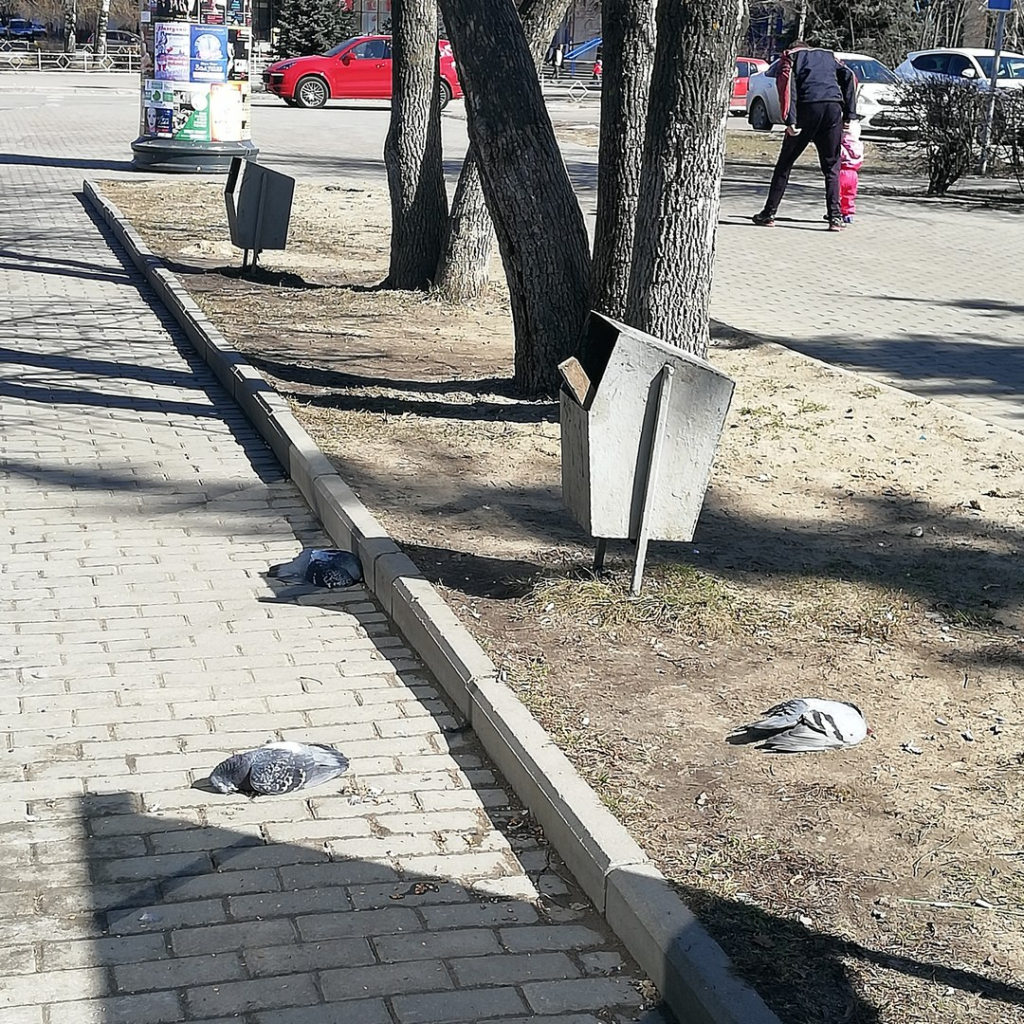 Изображение к жалобе