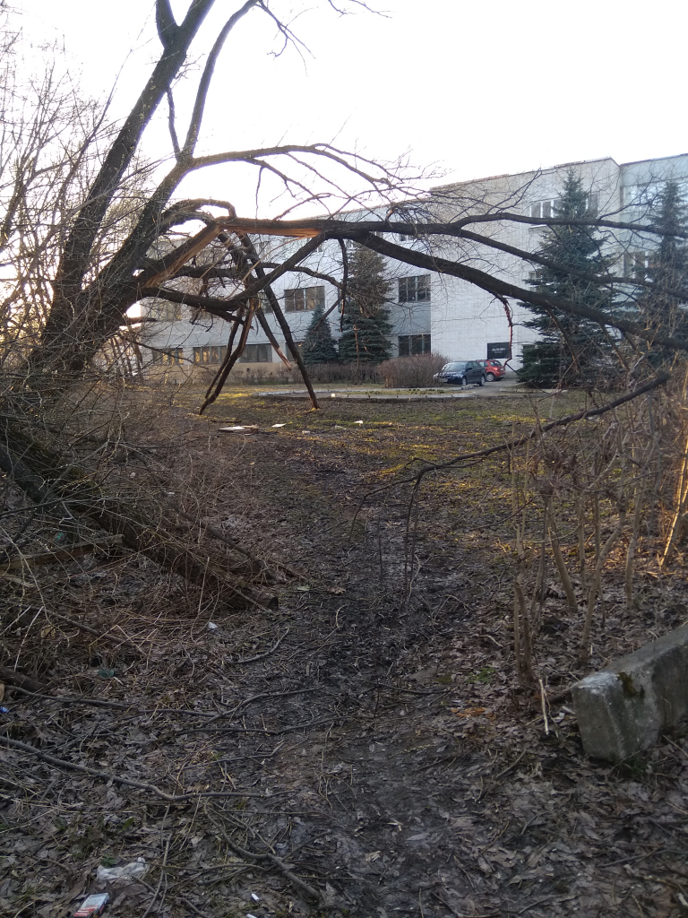 Изображение к жалобе