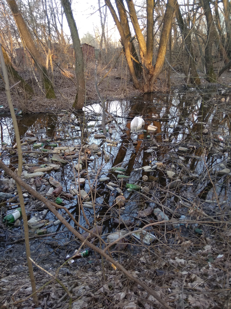 Изображение к жалобе