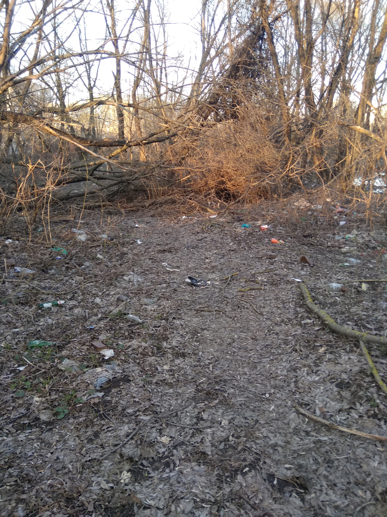 Изображение к жалобе