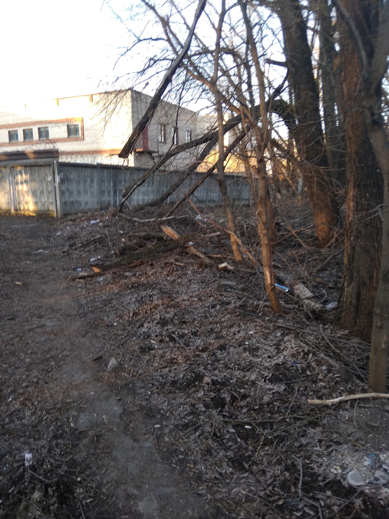 Изображение к жалобе