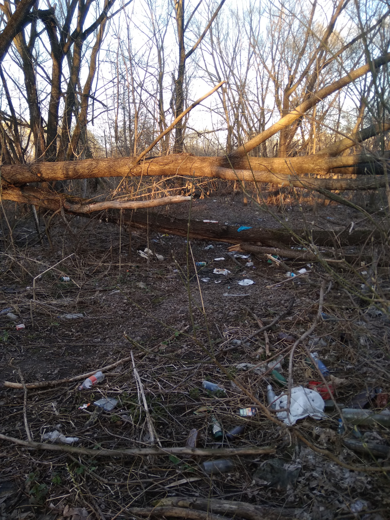 Изображение к жалобе