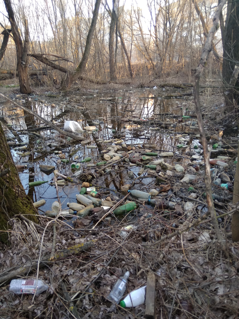 Изображение к жалобе