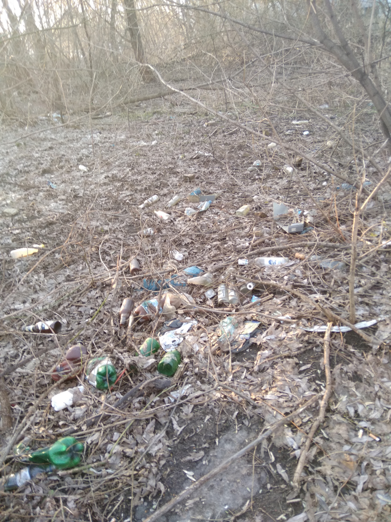 Изображение к жалобе