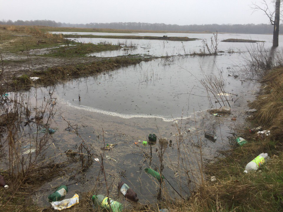 Изображение к жалобе