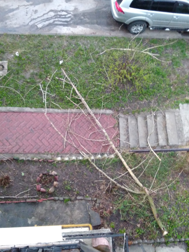 Изображение к жалобе