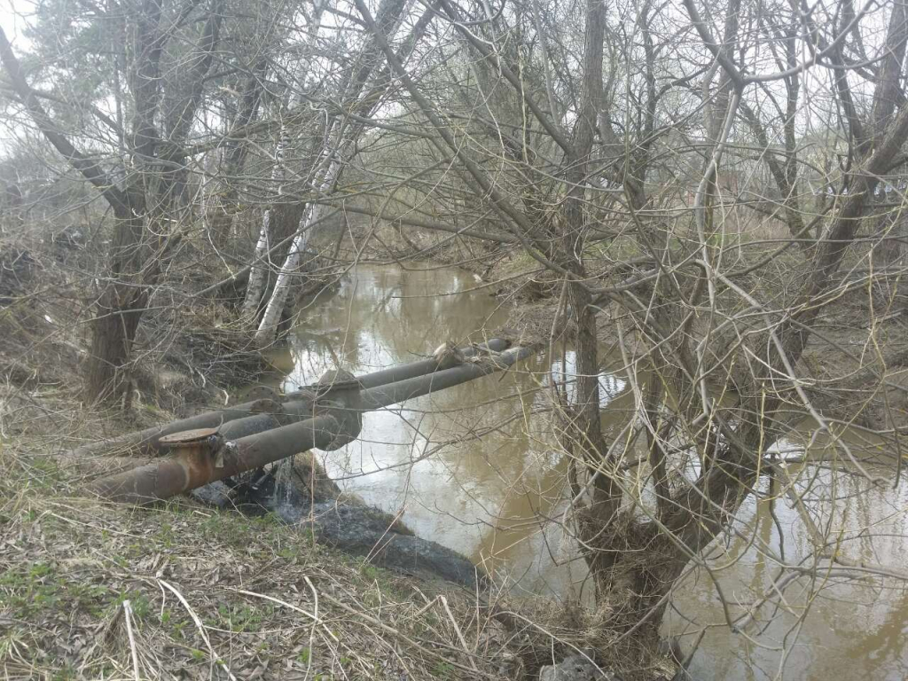 Изображение к жалобе