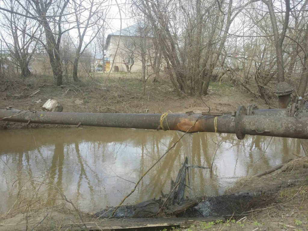 Изображение к жалобе