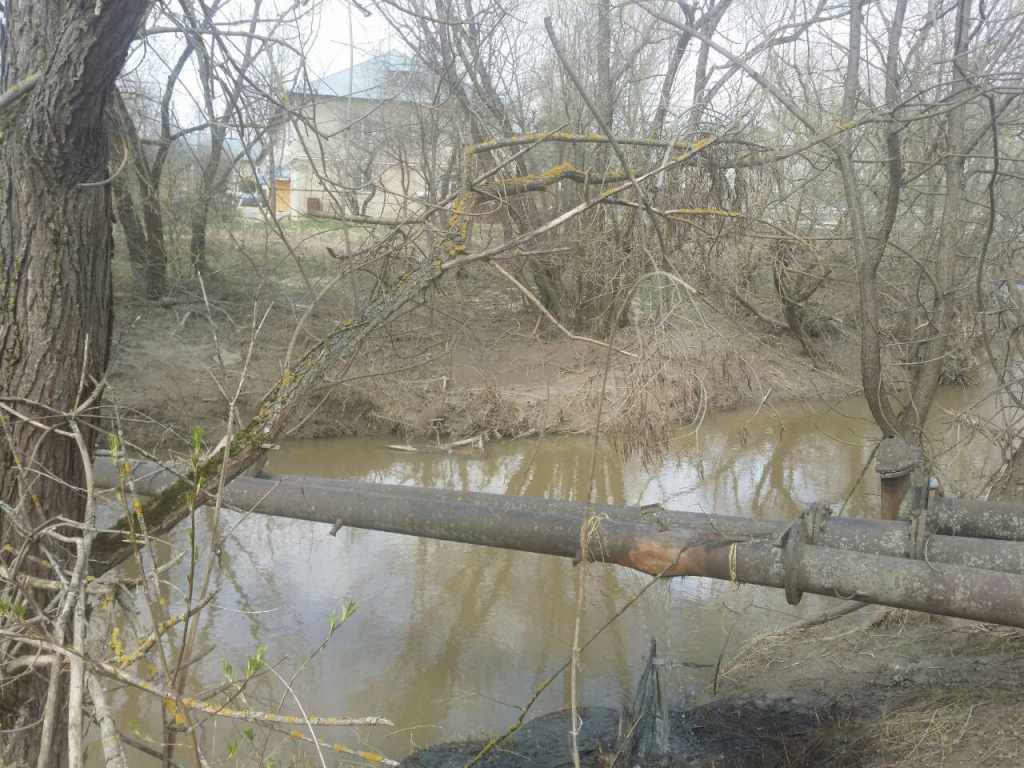 Изображение к жалобе