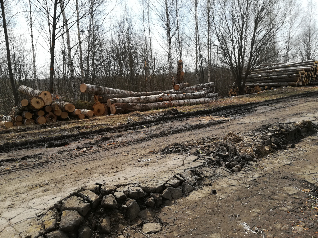 Изображение к жалобе