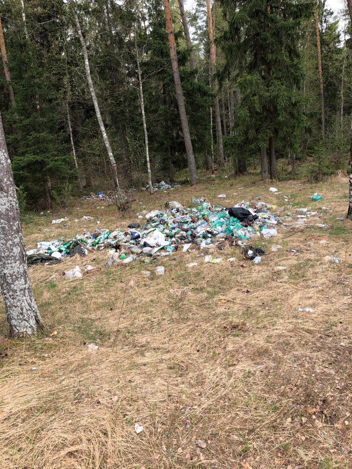 Изображение к жалобе