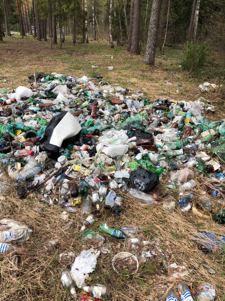 Изображение к жалобе