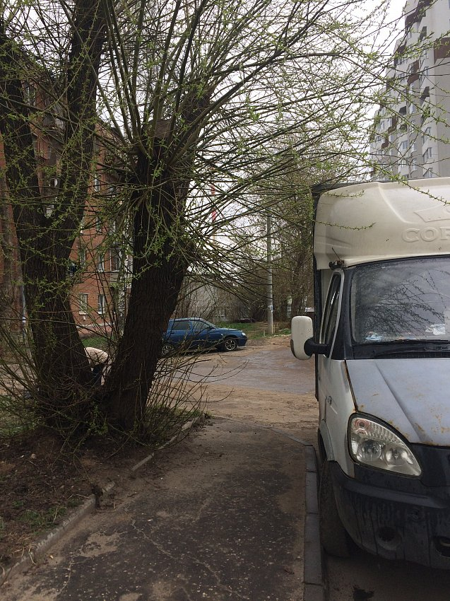 Изображение к жалобе