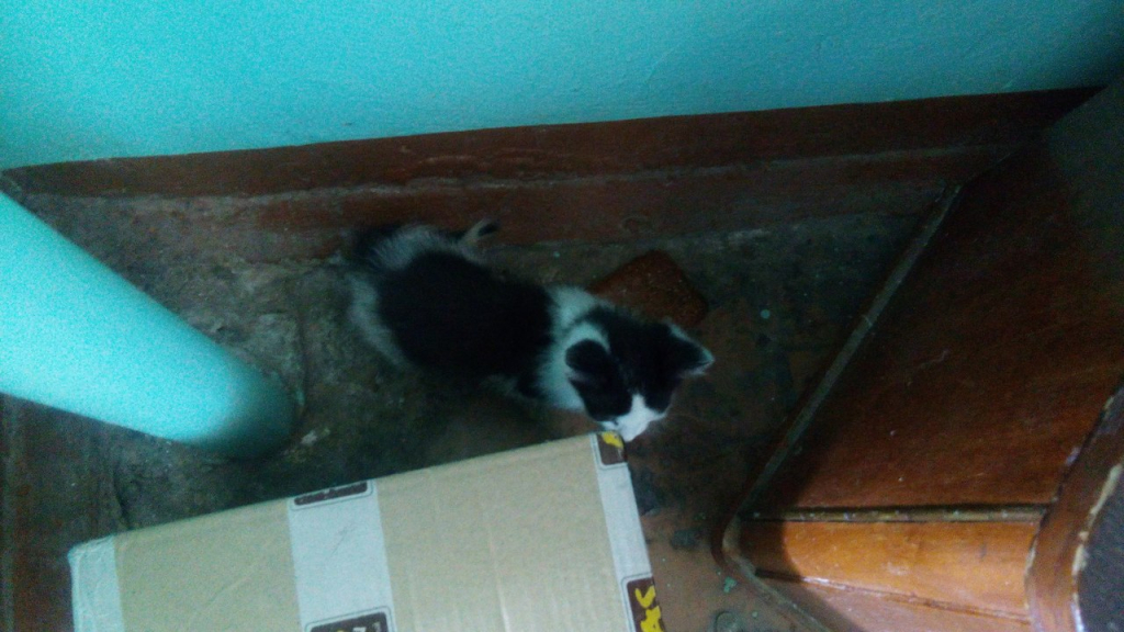 Изображение к жалобе