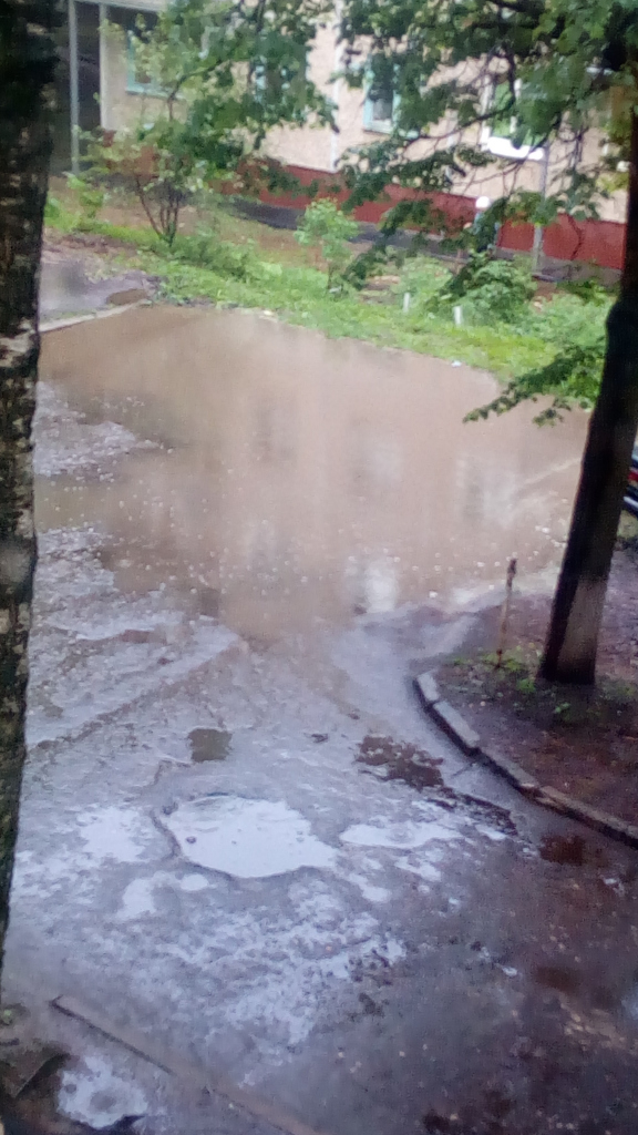 Изображение к жалобе