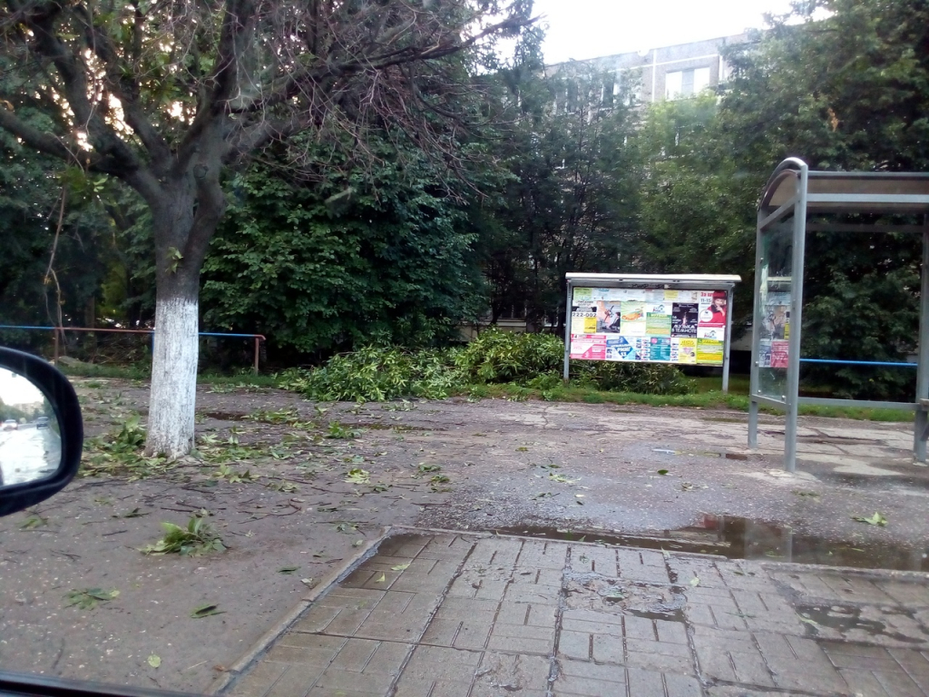 Изображение к жалобе