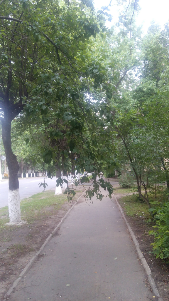 Изображение к жалобе