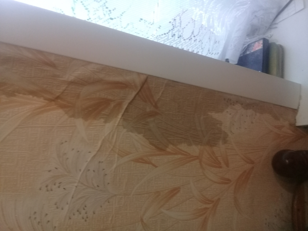 Изображение к жалобе