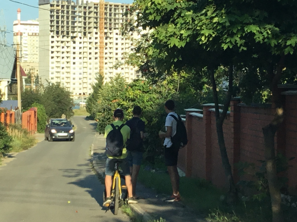 Изображение к жалобе