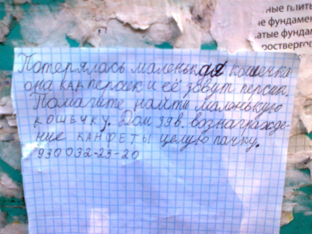 Изображение к жалобе